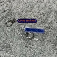 Item thumbnail for item e54a3b0a-a561-4f20-8142-2dac54a45cd7