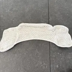 Item thumbnail for item 60a984f2-87e9-4710-857a-1a676903e6b0