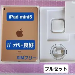 iPad mini5　バッテリー良好　フルセット　Wi-Fi+Cellular
