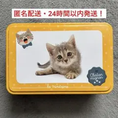 Item thumbnail for item 2535c17f-3308-4b79-b40c-3ca5b9d9bf45