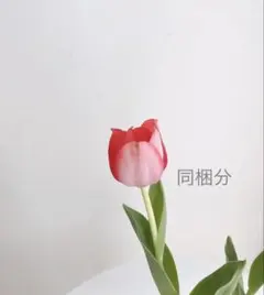 kot.o.kai様同梱分