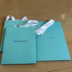 Item thumbnail for item 0a81f8d5-f25a-4153-aacf-9b590e1b33e1