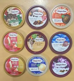 ハーゲンダッツ 蓋 フタ 51枚セット【期間限定品あり】のサムネイル