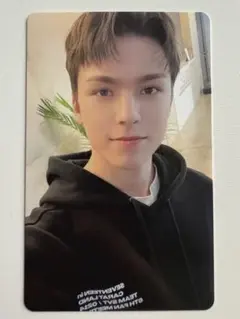 SEVENTEEN VERNON セブチ バーノン トレカ CARAT LAND