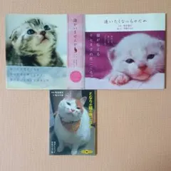 猫本3冊