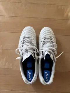 asics DS LIGHT X-FLY PRO 2 ホワイト　27cm