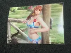 DOAXVV ブロマイド かすみ デッドオアアライブ DEAD OR ALIVE