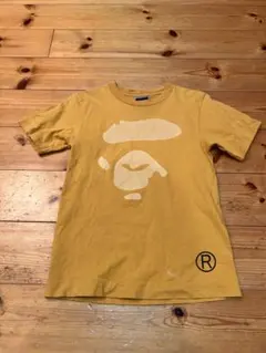 Item thumbnail for item 18cbec26-b432-4e61-8cfa-9ad881fd8578