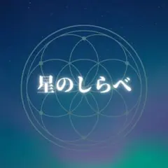 【グリーンです⭐️様専用】星のしらべ　鑑定書