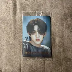 SEVENTEEN ウエハース エスクプス