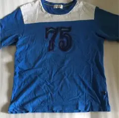 サイズM46 メンズTシャツ A.V.V No.75ブルー系のサムネイル