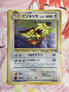 2025年最新】旧裏面 ピジョットの人気アイテム - メルカリ