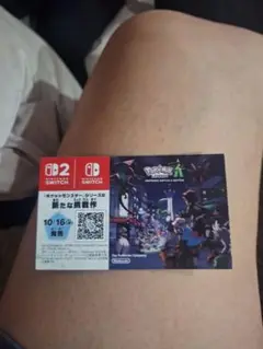 ポケモン スカーレット バイオレット　色違い ミライドン コライドン