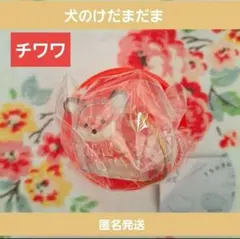 うちの子のけだまだま 犬 ガチャ チワワ 黒 キーホルダー ペテモ　シープラ