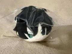 新テニスの王子様　切原赤也　もちマス　テニプリ