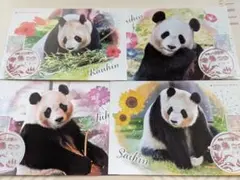 JAL非売品 ノート ジャポニカ学習帳 和歌山 アドベンチャーワールド