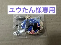 【7/6迄】ディズニー 夜限定 雨の日限定 ピンバッジ
