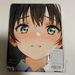 56OTAMONアニメバスタオル タペストリー シークレット