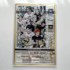 ハイキュー sportiva スペシャルアクリルパネル