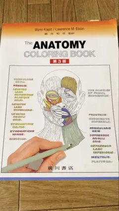 カラースケッチ解剖学