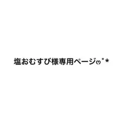 塩おむすび様専用ページෆ˚*