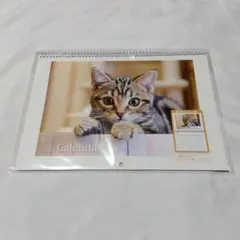 Item thumbnail for item a93875ad-deb9-41b2-a38b-af428374df5f