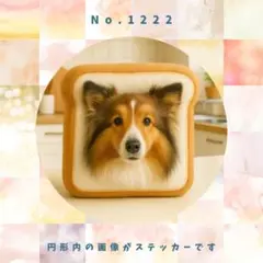 【送料無料】　シェットランドシープドッグ　食パン　防水ステッカー　No.1222