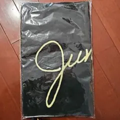 Jung Hae In 2023ファンミーティング公式グッズ　タオル