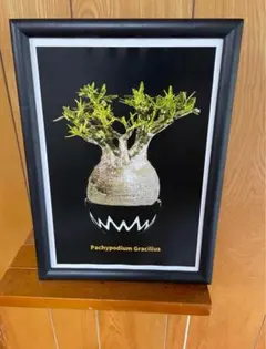 YTK様 リクエスト 2点 まとめ商品