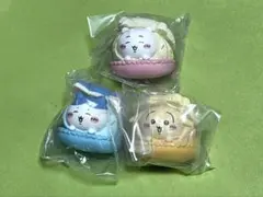 ちいかわ きゃらまかろん 3個セット
