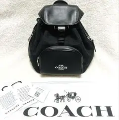 Item thumbnail for item a0b120da-f6a4-48a1-b5de-0c103aa825cc