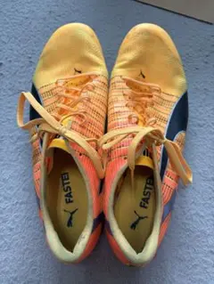 PUMA evospeed tokyo future 4 26.5cm