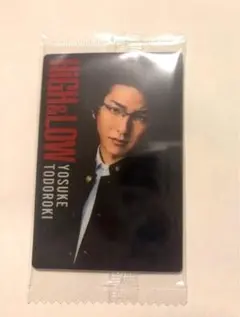 HiGH&LOW ハイアンドロー ウエハース 10 轟洋介 ハイロー
