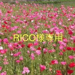 【RICO様専用】