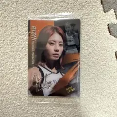 ケイタロータス