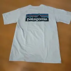 Patagonia Responsibili-Tee ポケットTシャツ S