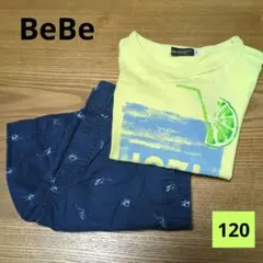 【BeBe/ユニクロ】半袖Tシャツ＆ハーフパンツ/半ズボンセット　スミソニアンのサムネイル