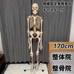 Item thumbnail for item 31793998-a759-43be-aa43-bdee549bd220