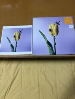 あいみょん おいしいパスタがあると聞いて アナログ盤 レコード