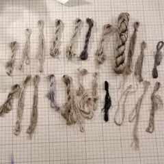 Item thumbnail for item f2cebf50-e8f3-4cea-9b40-e7018805d057