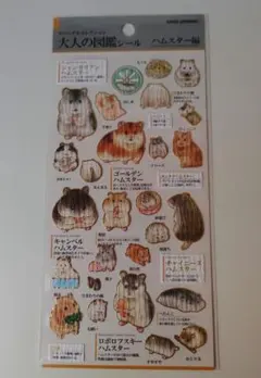 りっちょ(おまとめ歓迎プロフ必読)様 リクエスト 2点 まとめ商品