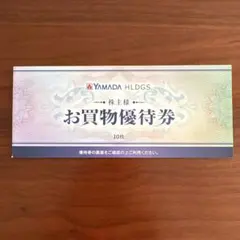 ヤマダ電機　買物優待券 5000円分(500円×10枚)