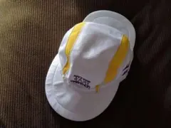 Item thumbnail for item 0fdfed27-11db-4456-ad05-d0cab1b83199