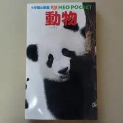 Item thumbnail for item 2386c42e-97db-4034-8d80-a0ed73c63c62