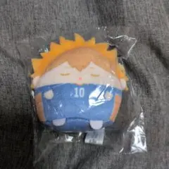 ハイキューぬいくじE賞日向翔陽