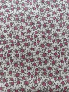 Item thumbnail for item ca932ced-f577-48ac-af10-7ff020099969