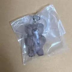 Daisuke Kondo / kuma めじるし