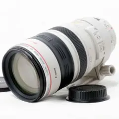 お*り様 canon EF400mm F5.6L USMメーカー修理済み 野鳥作 - メルカリ