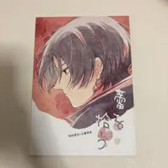 天官賜福 謝憐 花城 三郎 漫画版 ブロマイド - メルカリ