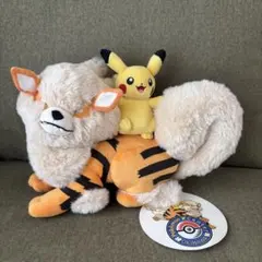 2025年最新】ウインディ ぬいぐるみ 沖縄の人気アイテム - メルカリ